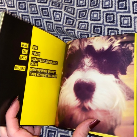 (CLOSET CLOSING FINAL SALE) Dog Selfies book by Charlie Ellis - Picture 3 of 5